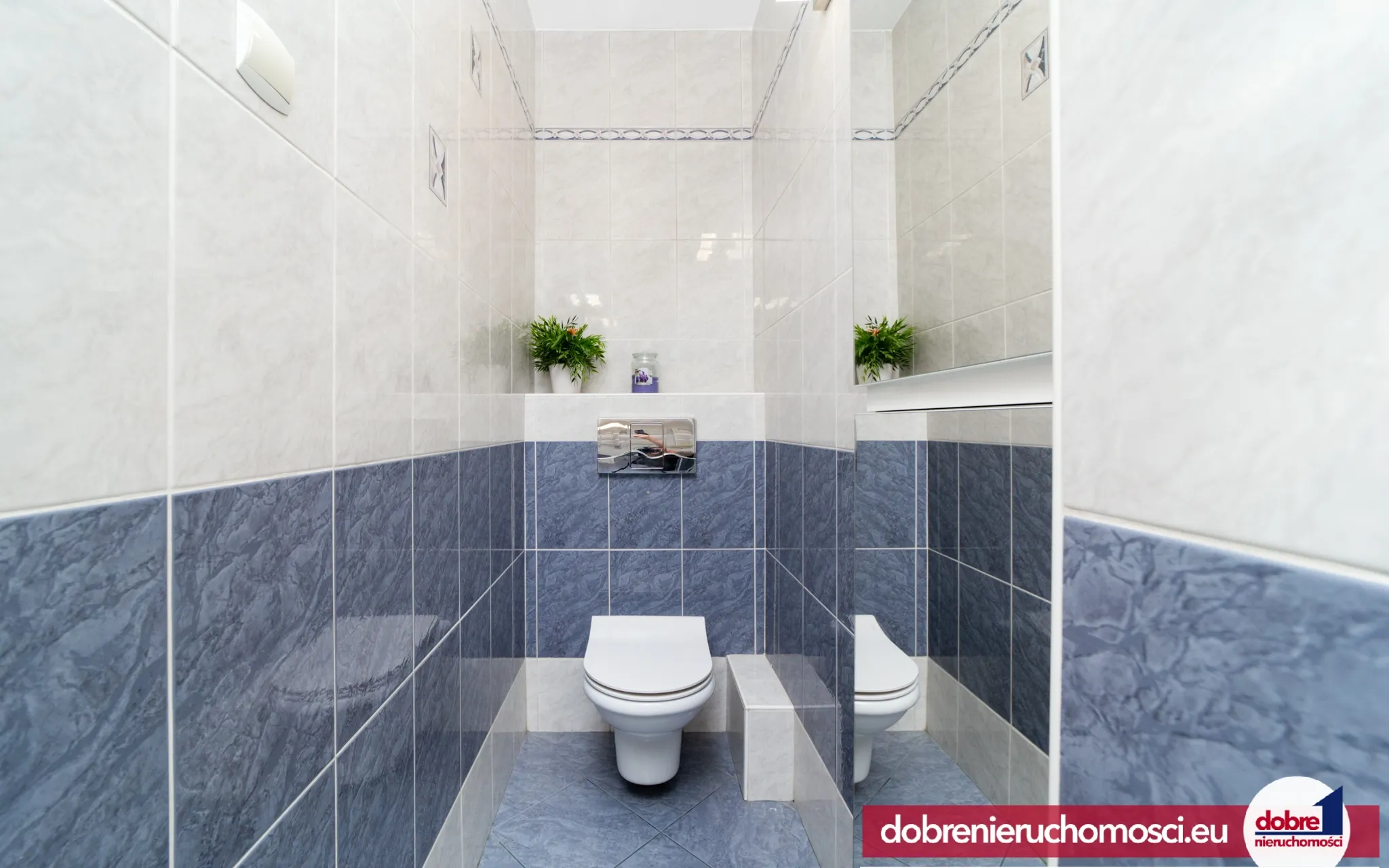 Zdjęcie 16: Centrum