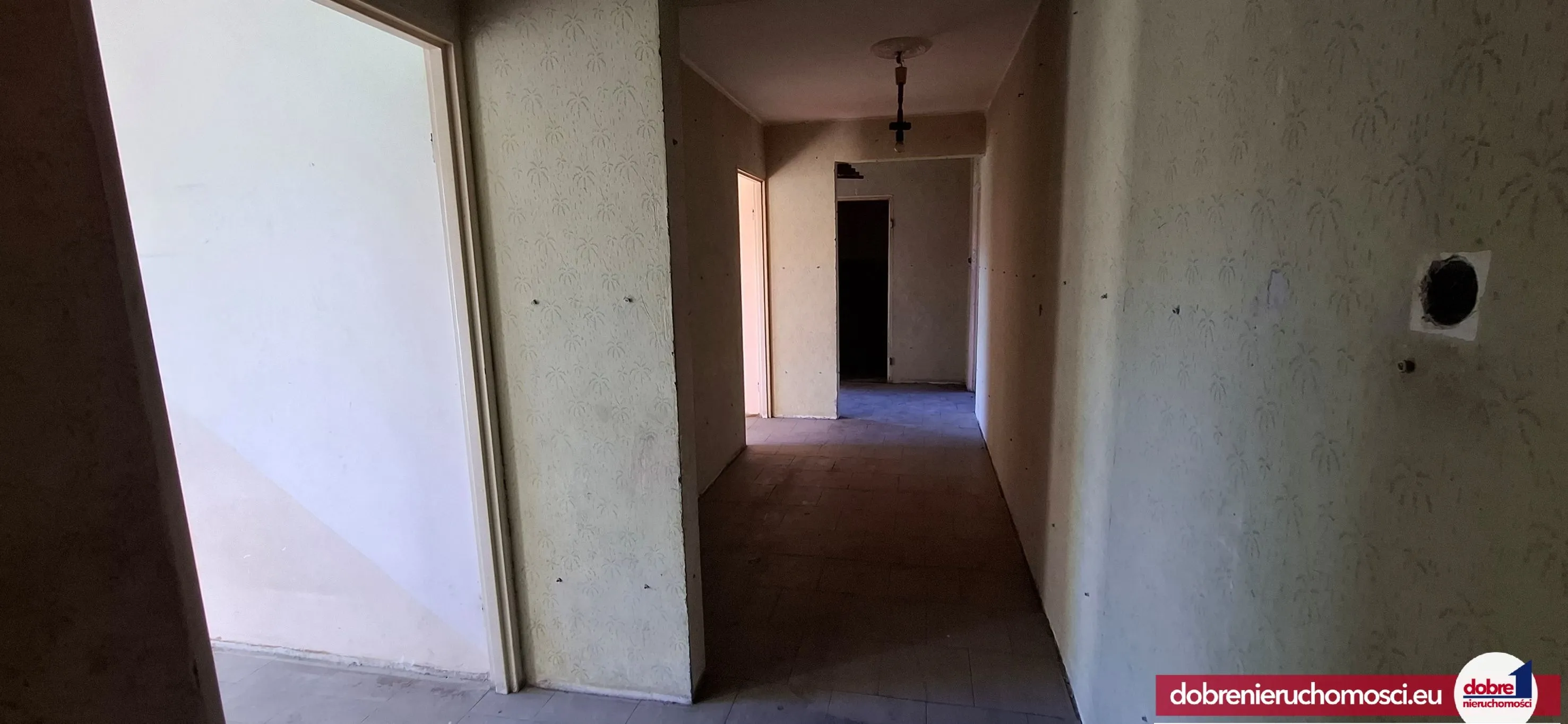 Zdjęcie 13: Tuchola