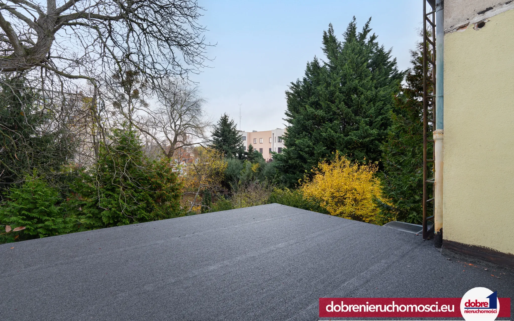 Zdjęcie 11: Bielawy