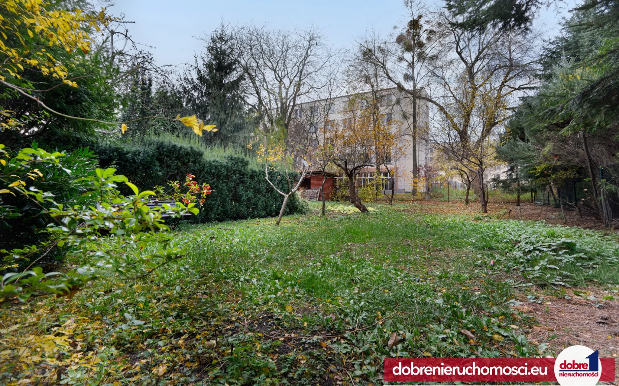 Zdjęcie 14: Bielawy