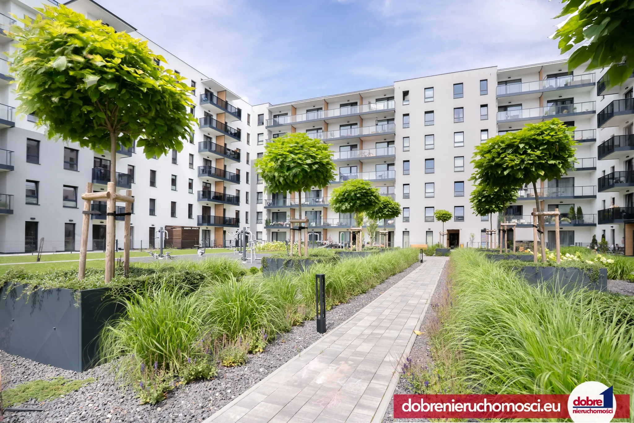 Zdjęcie 1: Kapuściska