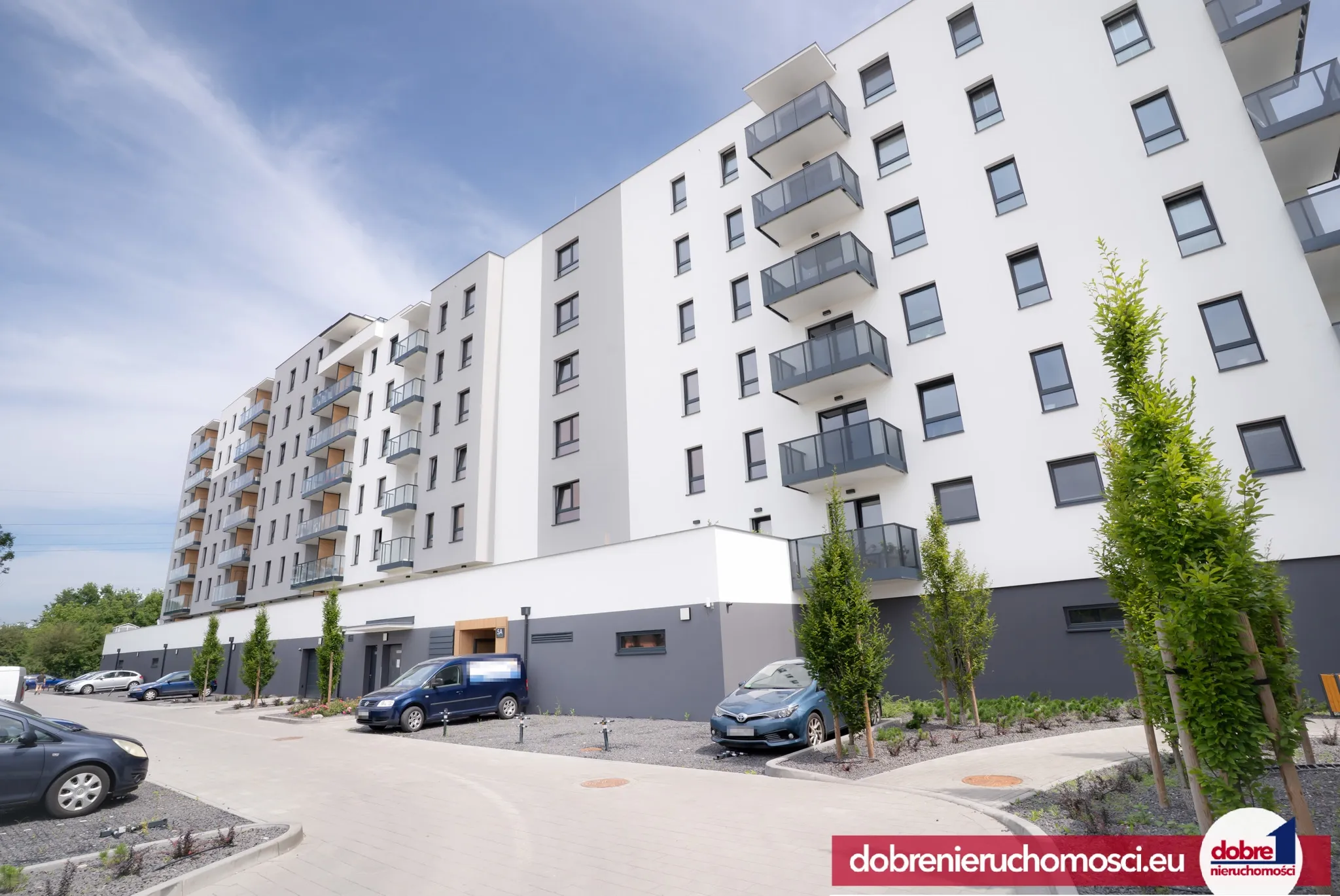 Zdjęcie 13: Kapuściska