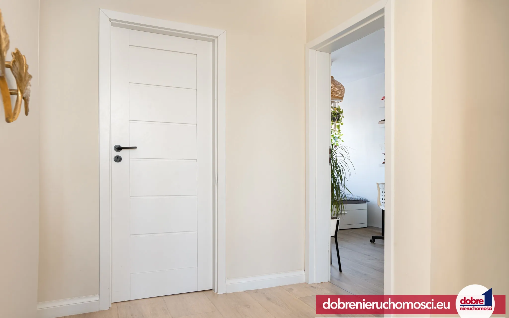 Zdjęcie 9: Wzgórze Wolności