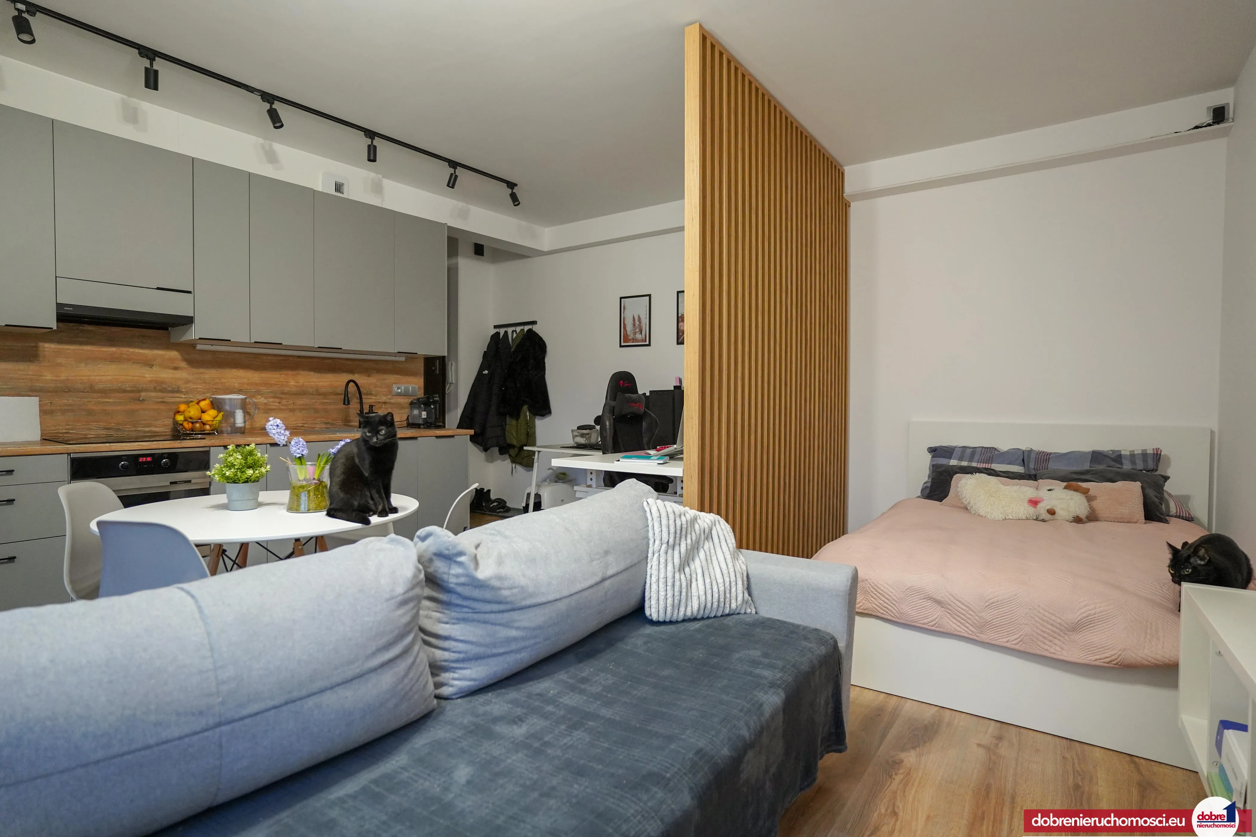 Zdjęcie 3: Bocianowo