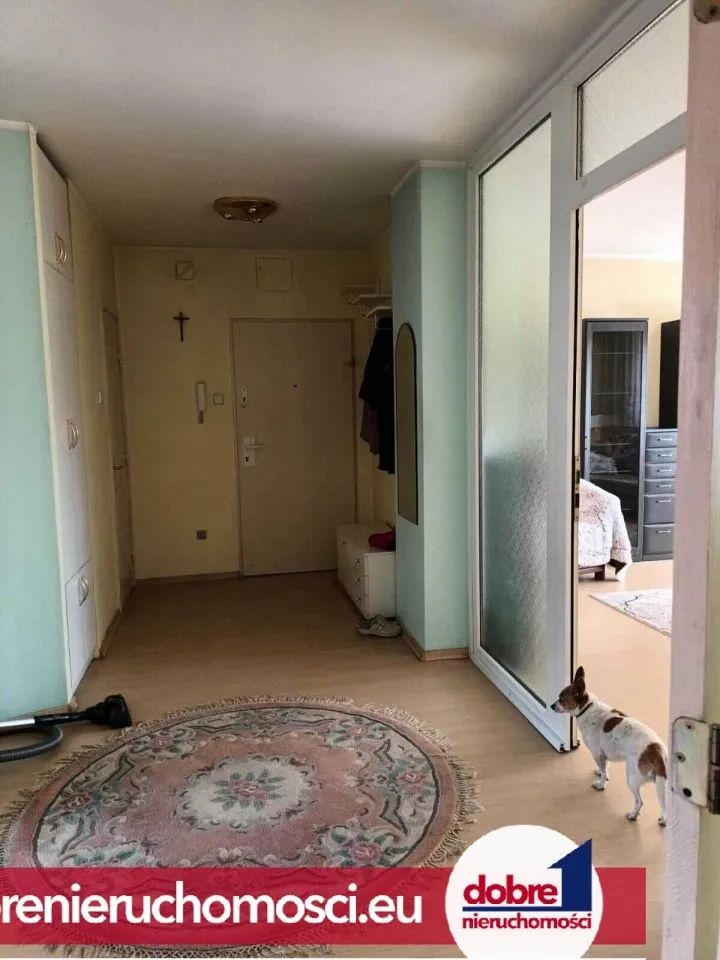 Zdjęcie 3: Osowa Góra