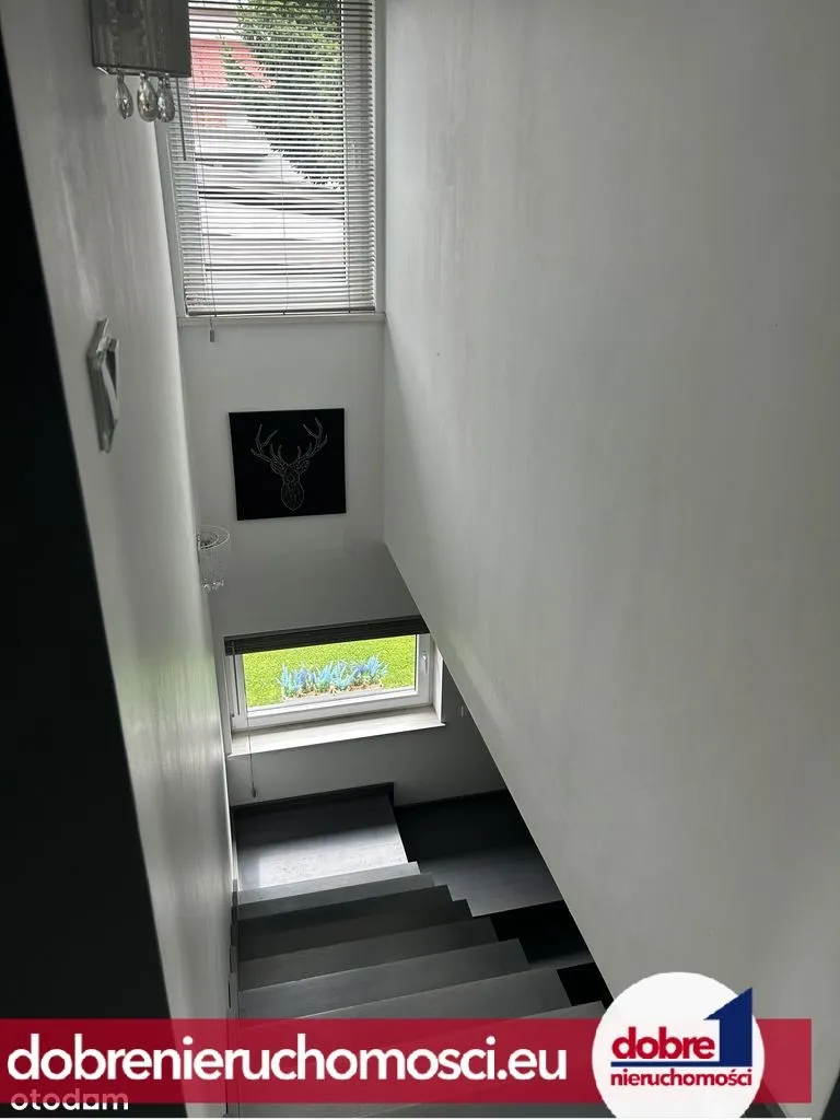 Zdjęcie 12: Miedzyń