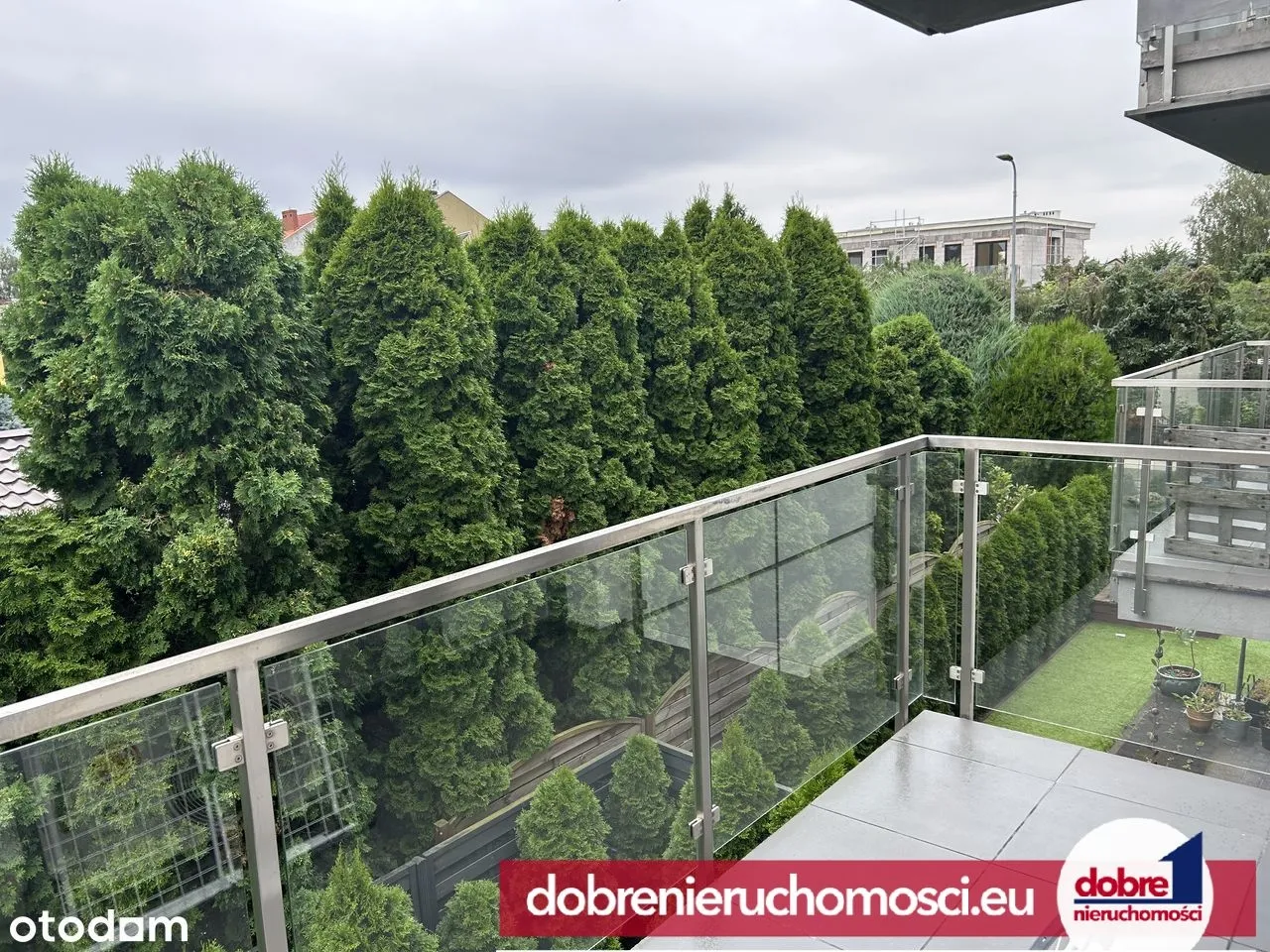 Zdjęcie 8: Miedzyń