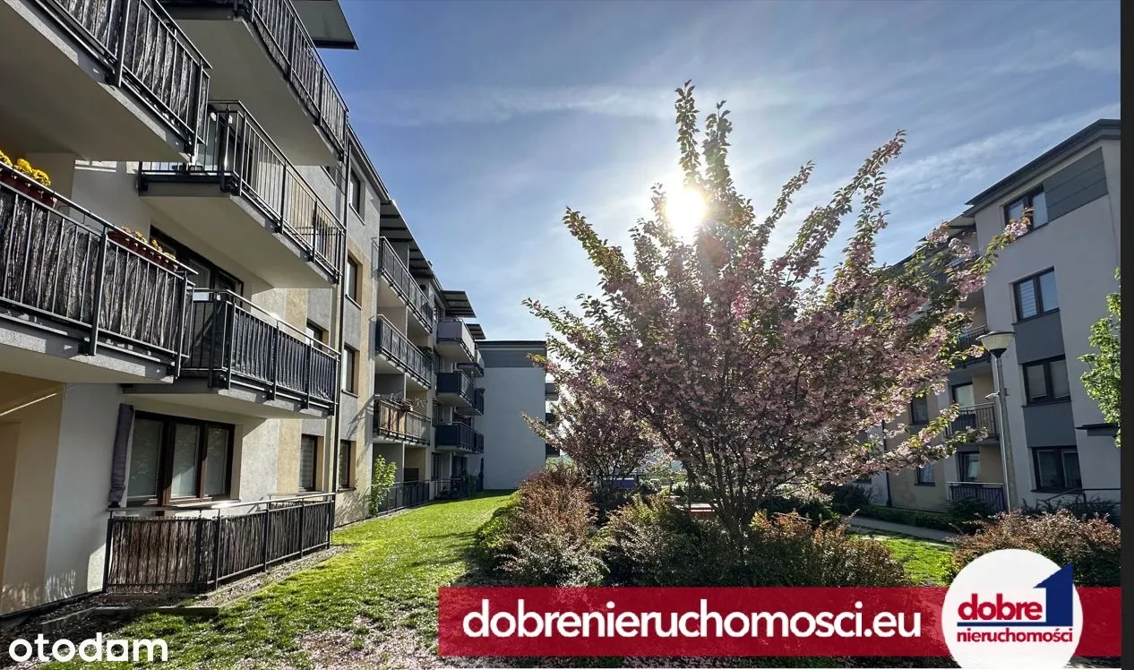 Zdjęcie 11: Wzgórze Wolności