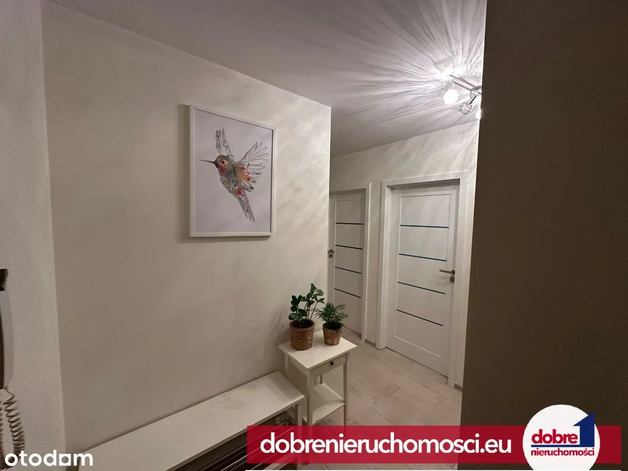 Zdjęcie 7: Wzgórze Wolności