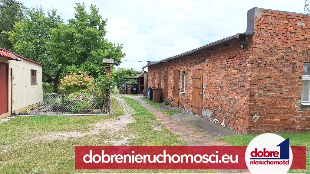 Zdjęcie 7: Miedzyń